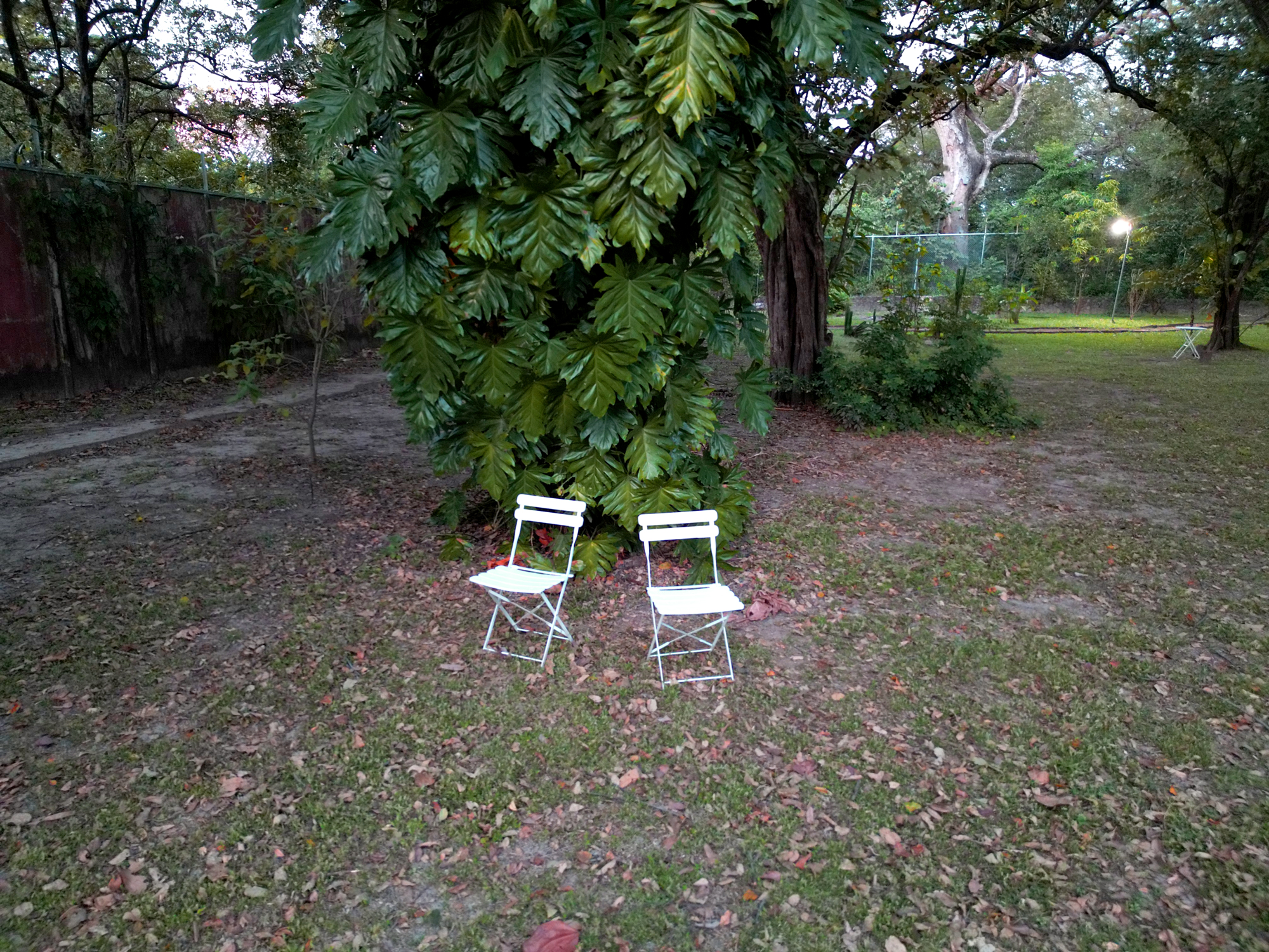 Jardín de Casa Buda Liberia con sillas blancas bajo un árbol tropical